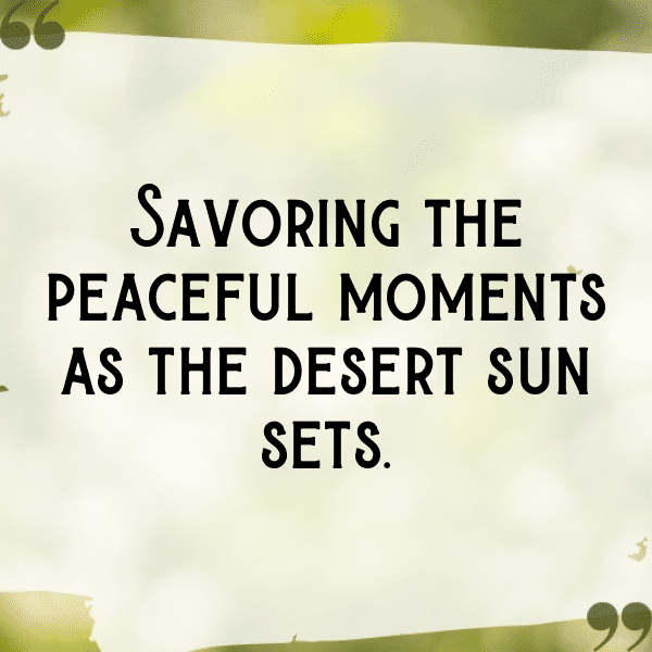 Desert Sunset Captions Image for Instagram-rJvuYK