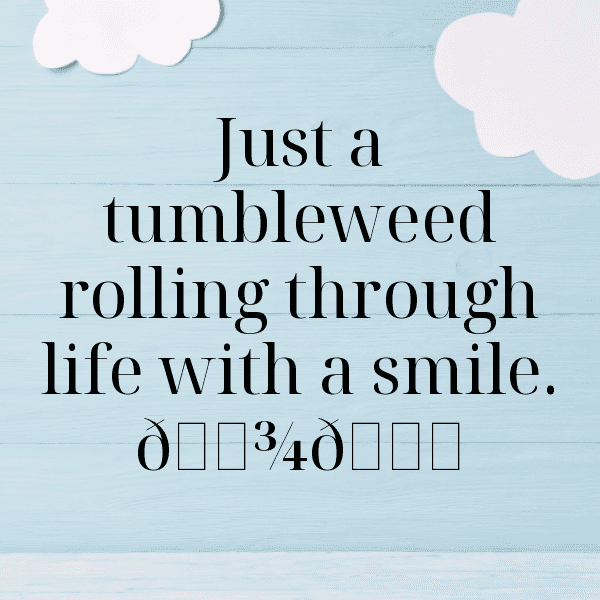 Desert Sunset Captions Photo for Instagram-1KFBdW