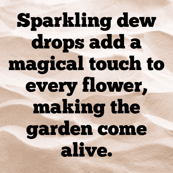 Dewberry Captions Photo For Instagram-3b0Uem