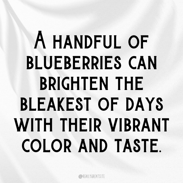 Dewberry Captions Photo For Instagram-kvtbgs