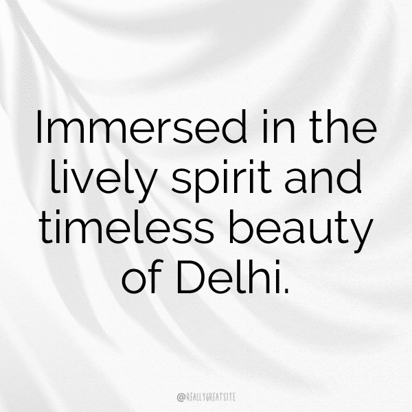 Dill Captions Photo For Instagram-z35dww