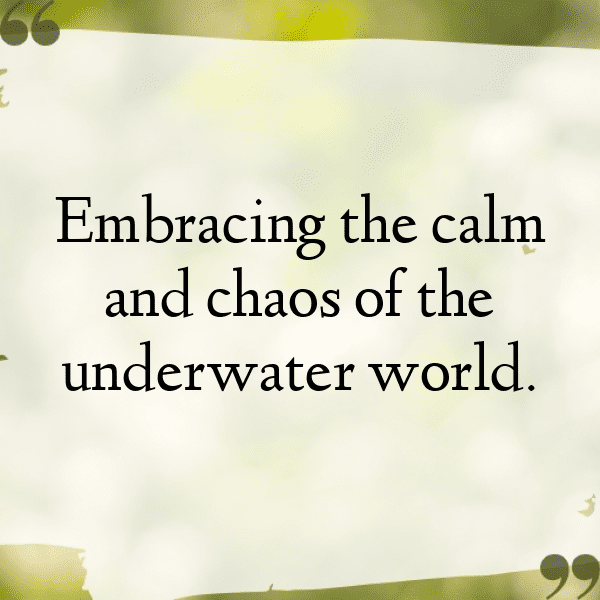 Diving Captions Photo for Instagram-yvS1pS