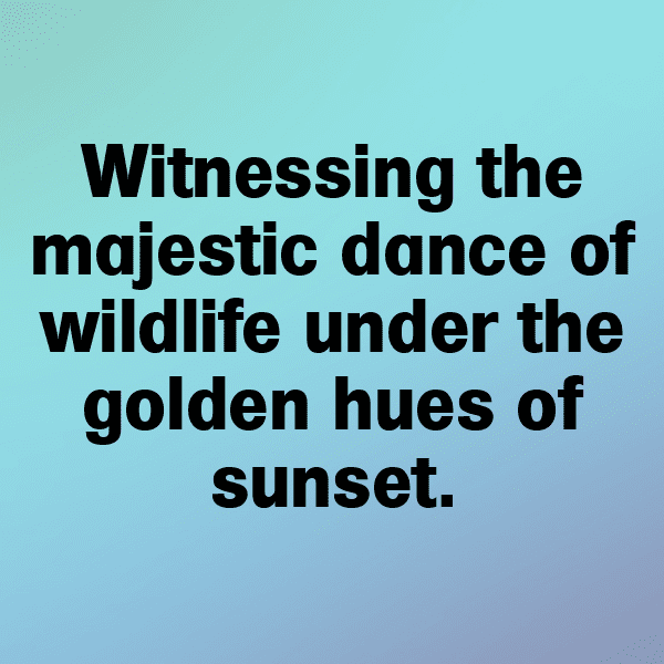 Djibouti Captions Photo For Instagram-gAzjtN