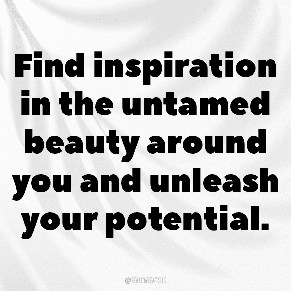 Djibouti Captions Photo For Instagram-Q6xdGN