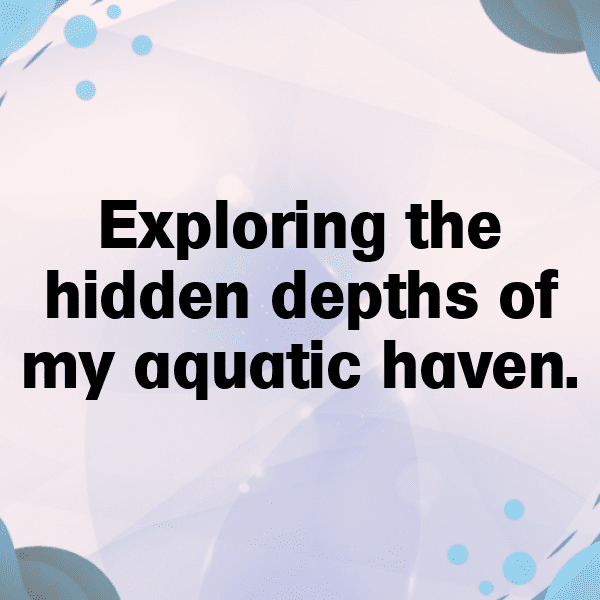 Dolphin Captions Image For Instagram-bsz3gv