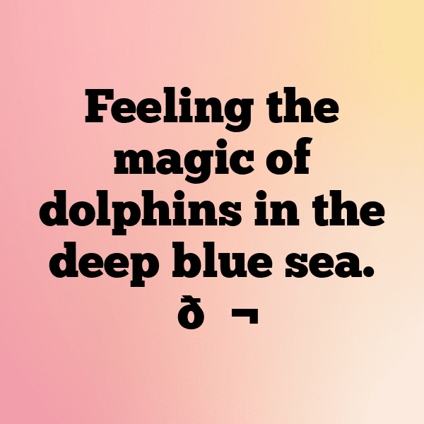 Dolphin Captions Image For Instagram-gyeOrG