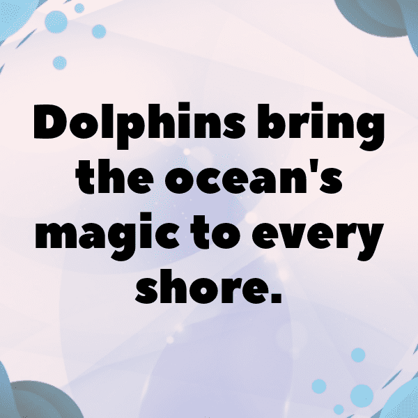 Dolphin Captions Image For Instagram-QFKAbg