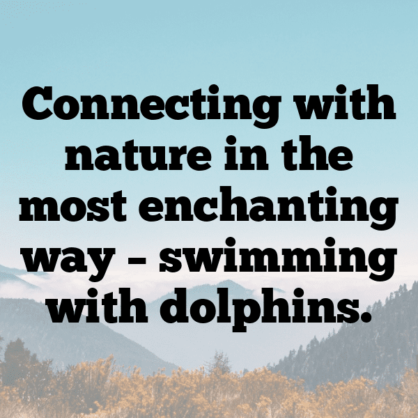 Dolphin Captions Photo For Instagram-aPo4Bi