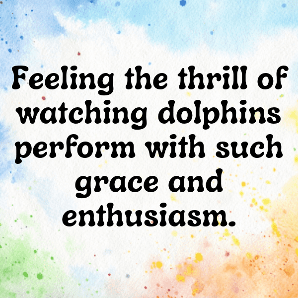 Dolphin Captions Photo For Instagram-FkBYss