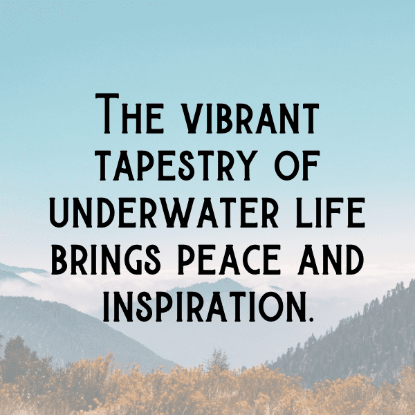 Dolphin Captions Photo For Instagram-HccGEE