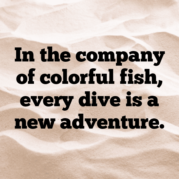 Dolphin Captions Photo For Instagram-vdP86d