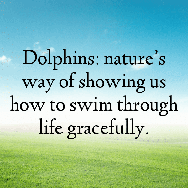 Dolphin Captions Photo For Instagram-YPrYMn