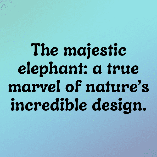 Donkey Captions Image For Instagram-u3H6E0