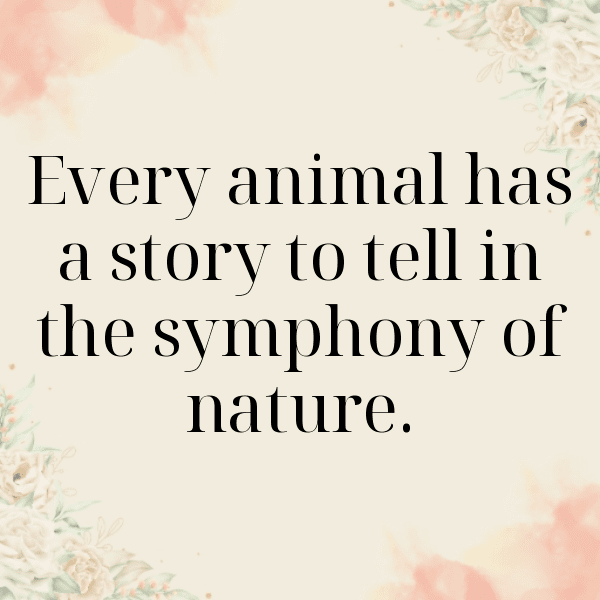 Donkey Captions Photo For Instagram-GycdC2