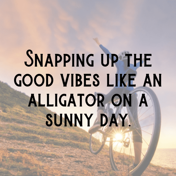 Donkey Captions Photo For Instagram-QcJ4Zt