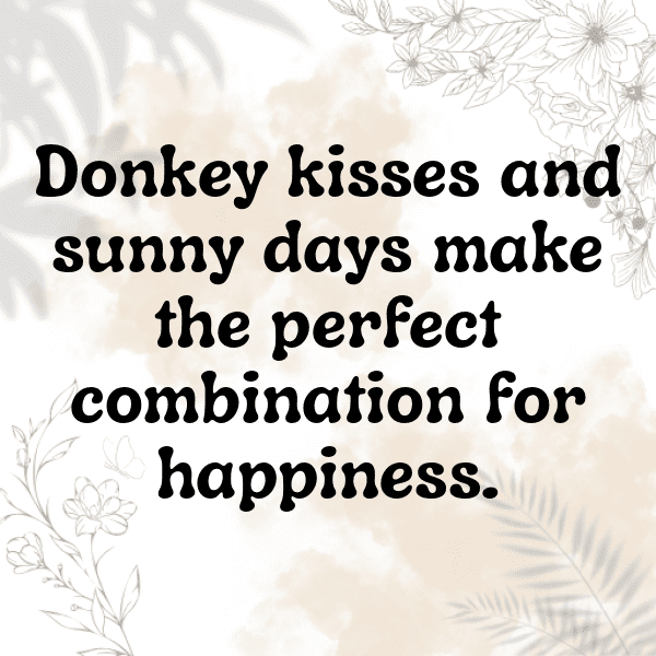 Donkey Kong Captions Image for Instagram-YUPdag