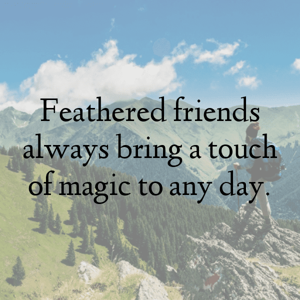 Dove Captions Image For Instagram-5iIUch