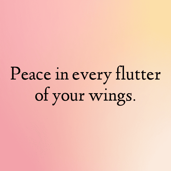 Dove Captions Image For Instagram-srRn9H