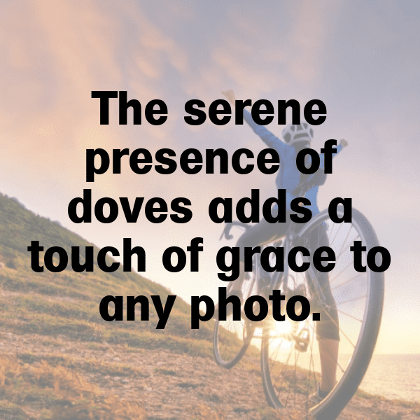 Dove Captions Image For Instagram-ZctIMQ