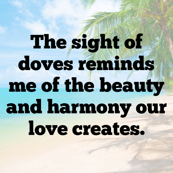 Dove Captions Photo For Instagram-3iHOh9