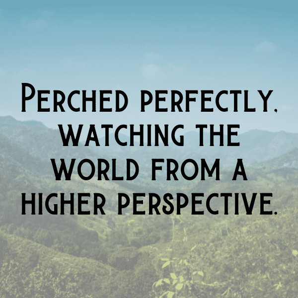 Dove Captions Photo For Instagram-3JrPJc