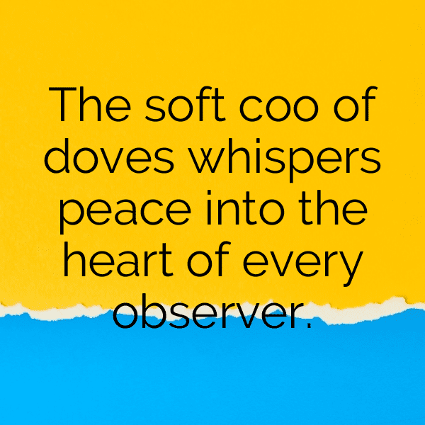 Dove Captions Photo For Instagram-QIDc9g