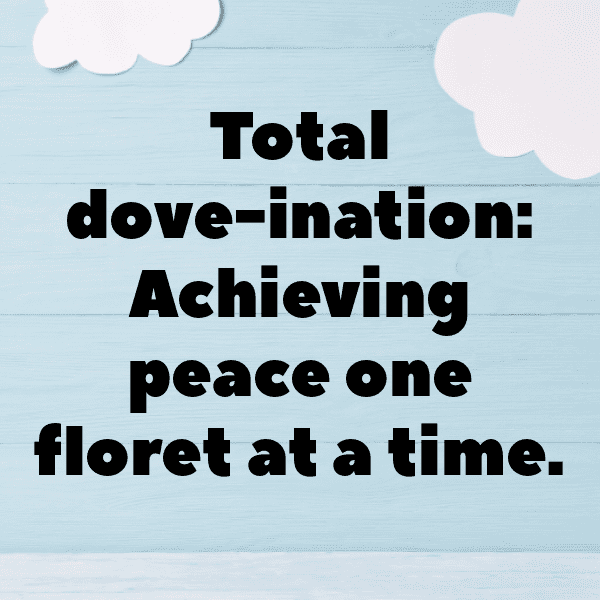 Dove Captions Photo For Instagram-x2JhbO