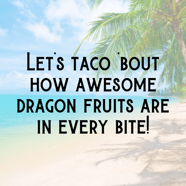 Dragon Carrot Captions Image For Instagram-MxVlEa