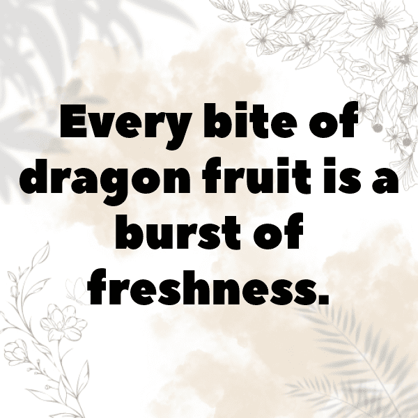 Dragon Fruit Captions Image For Instagram-DU7RcL
