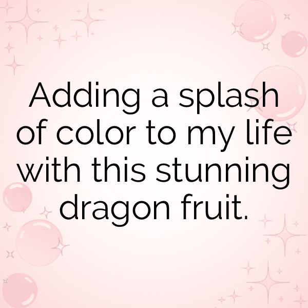 Dragon Fruit Captions Photo For Instagram-QDVWaB