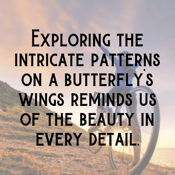 Dragonfly Captions Image For Instagram-71AsgE