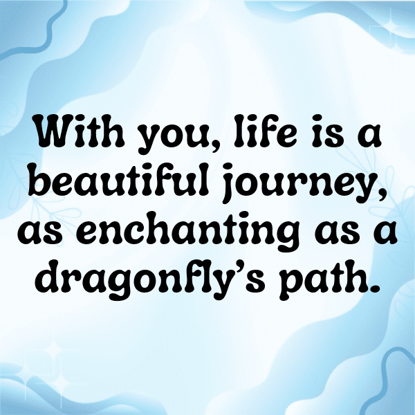 Dragonfly Captions Image For Instagram-aUSNzK