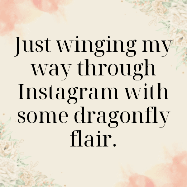 Dragonfly Captions Image For Instagram-j8JW3L