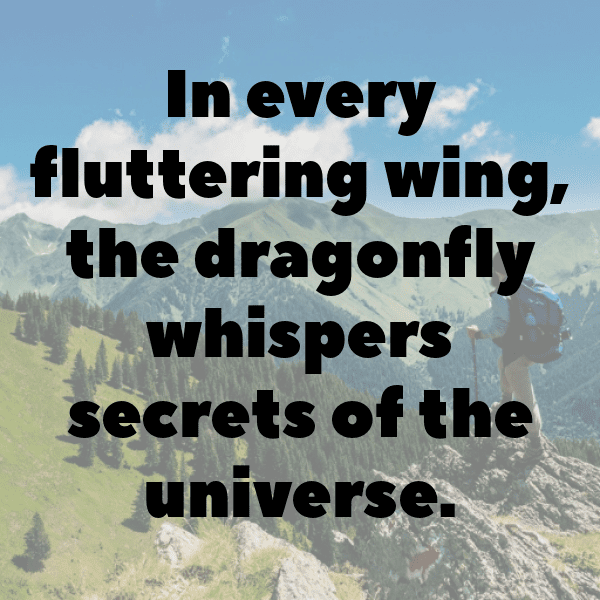 Dragonfly Captions Image For Instagram-L1jiHS