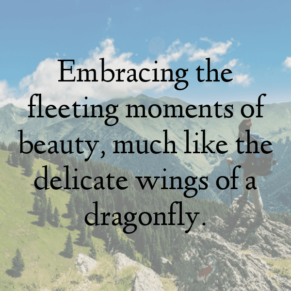 Dragonfly Captions Image For Instagram-qTHXQz