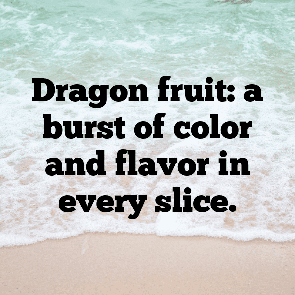 Dragonfly Captions Photo For Instagram-FgR4zT