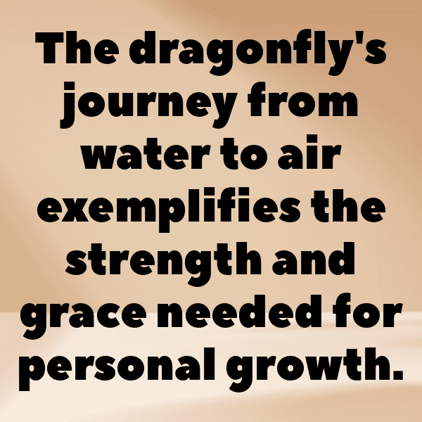 Dragonfly Captions Photo For Instagram-jIIqH7