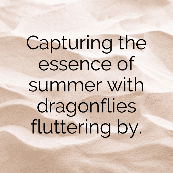 Dragonfly Captions Photo For Instagram-XsmDoV