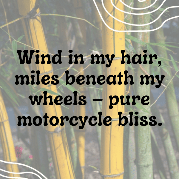 Ducati Streetfighter Captions Image for Instagram-y1FdXz