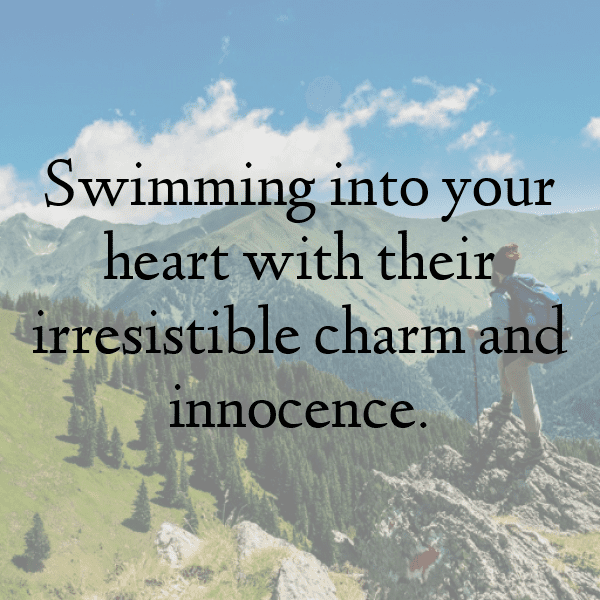 Duck Captions Photo For Instagram-PjVsaJ