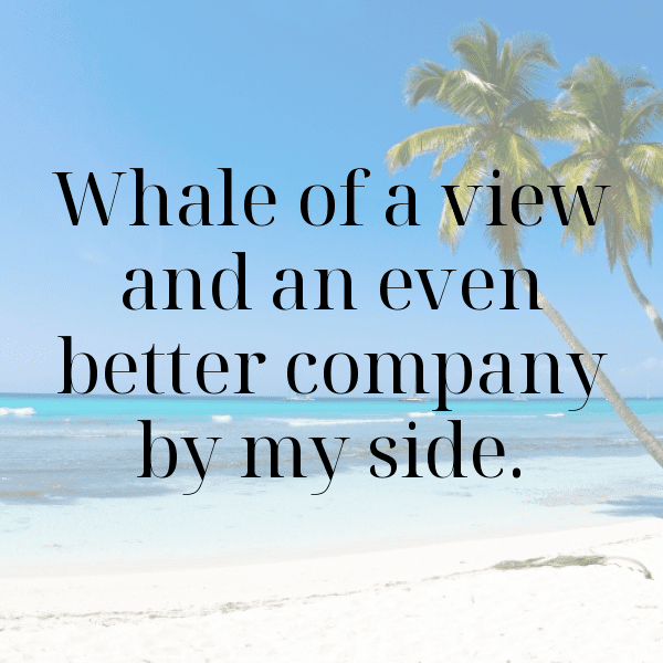 Dugong Captions Image For Instagram-kKHO7s