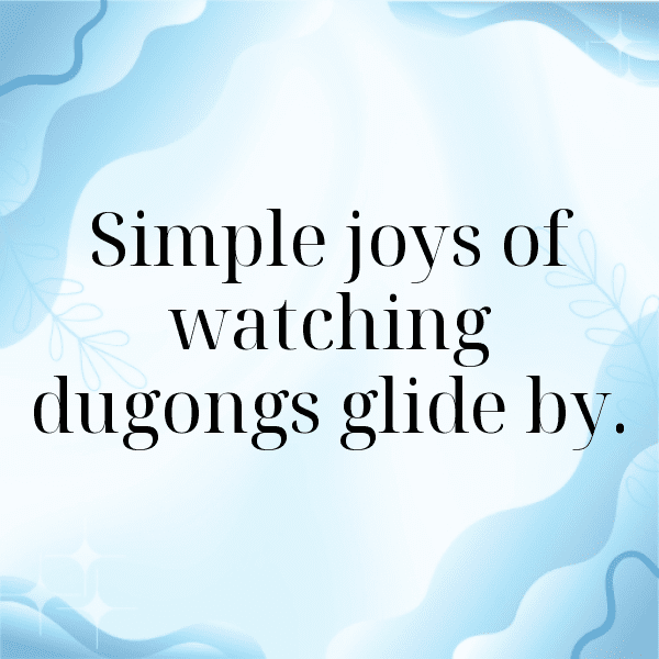 Dugong Captions Photo For Instagram-yNXm4A