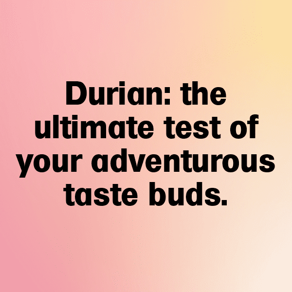 Durian Captions Photo For Instagram-7zW9s3