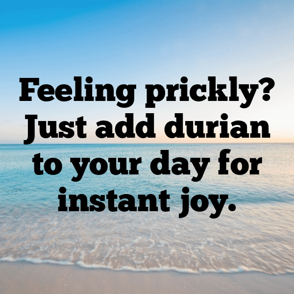 Durian Captions Photo For Instagram-ZwokTr