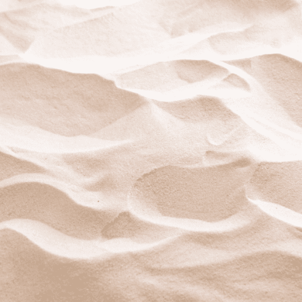 Eagle Captions Image For Instagram-EbN1r9