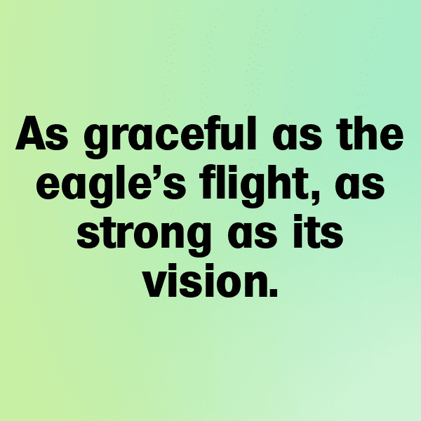 Eagle Captions Image For Instagram-Uoyrlb