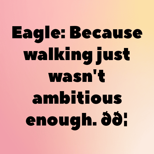 Eagle Captions Photo For Instagram-c5L3Tq