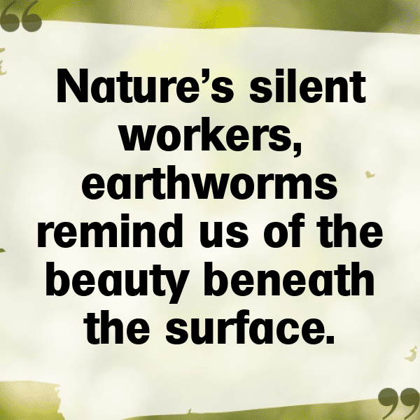 Earthworm Captions Photo For Instagram-syjd7J