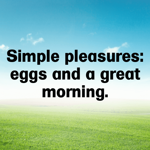 Easter Captions Image for Instagram-44RRLW