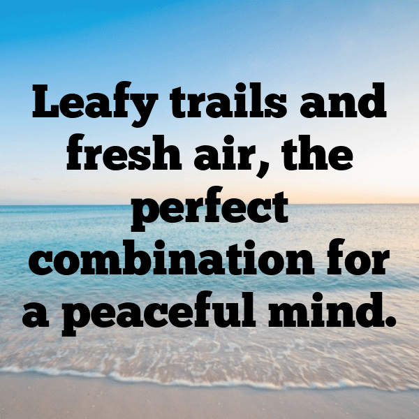 Eco Adventure Captions Image for Instagram-juKEIu